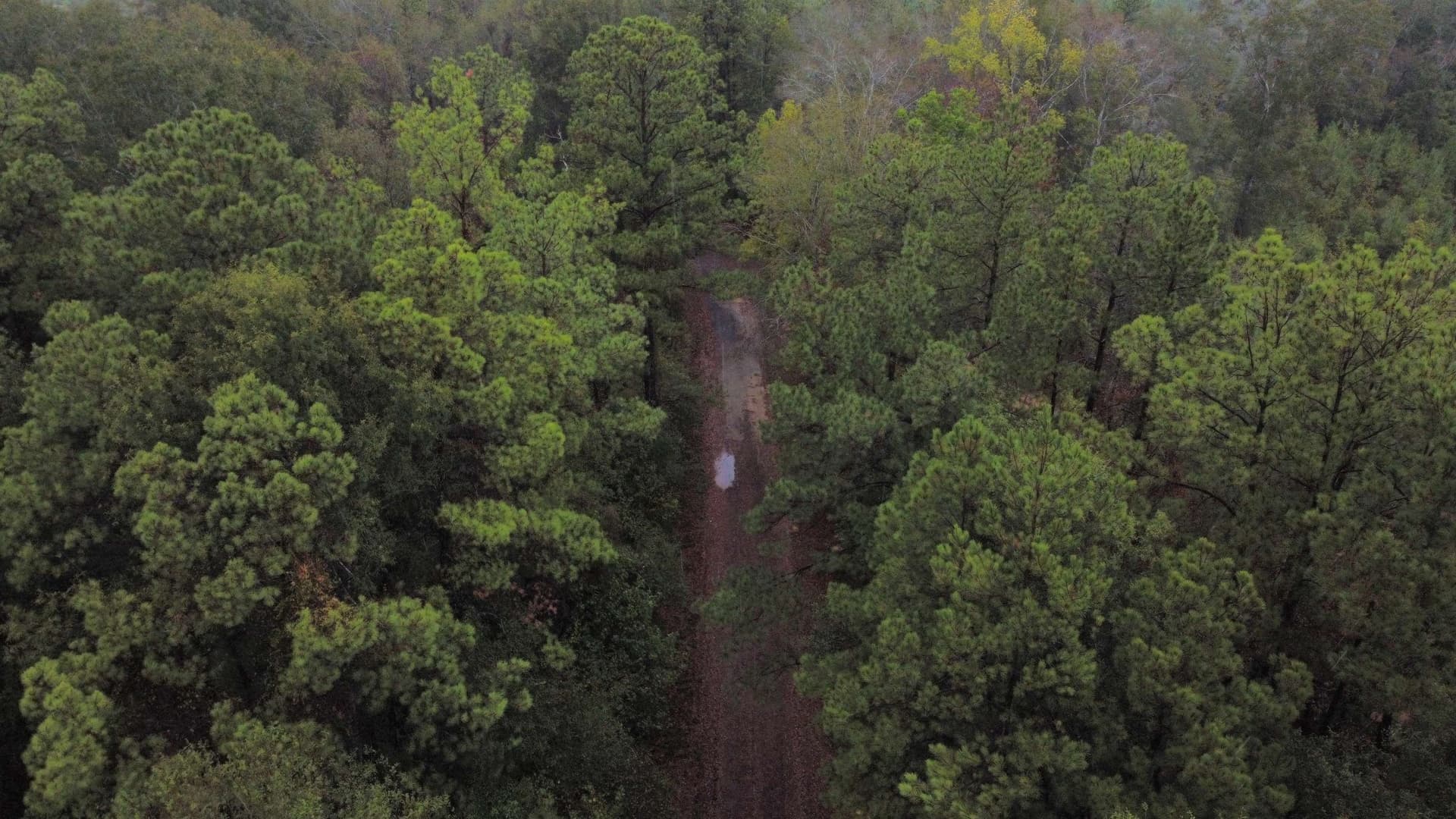 20 acres in Texas County - photo 13