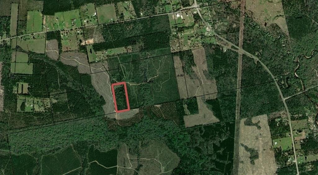 20 acres in Texas County - photo 3