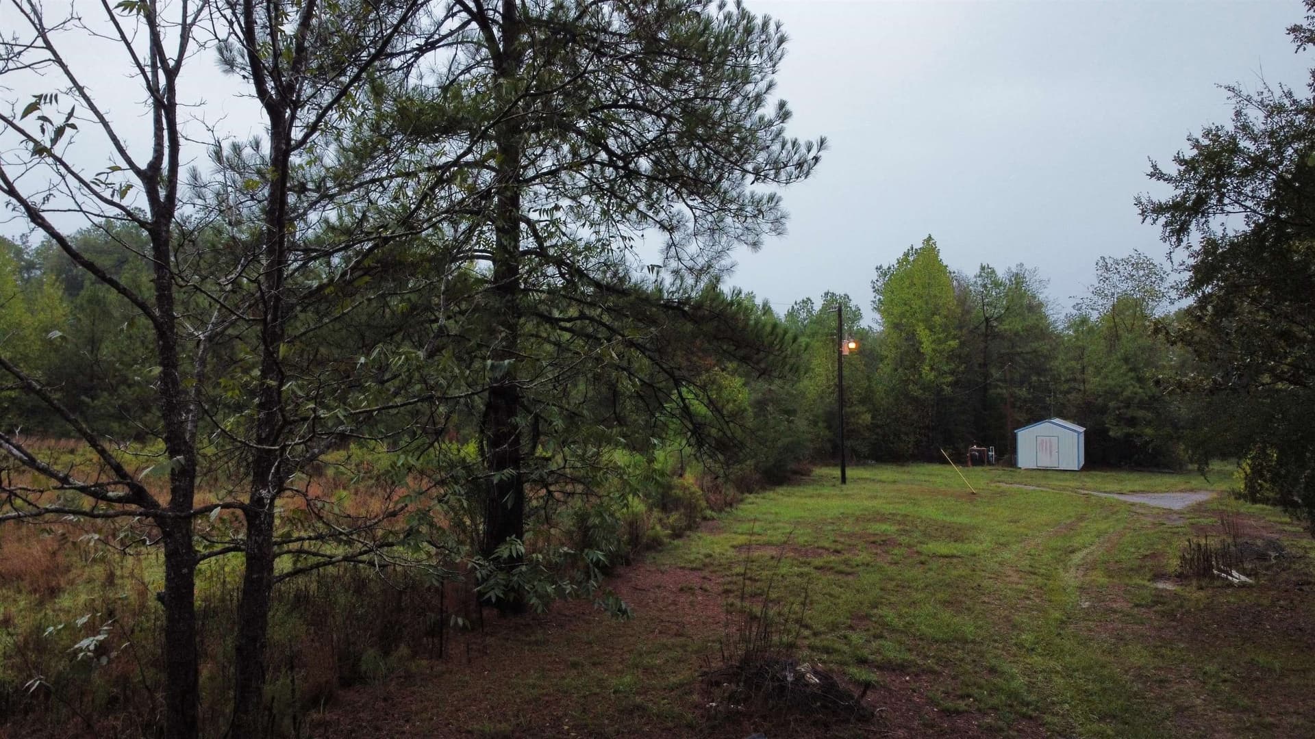 20 acres in Texas County - photo 10