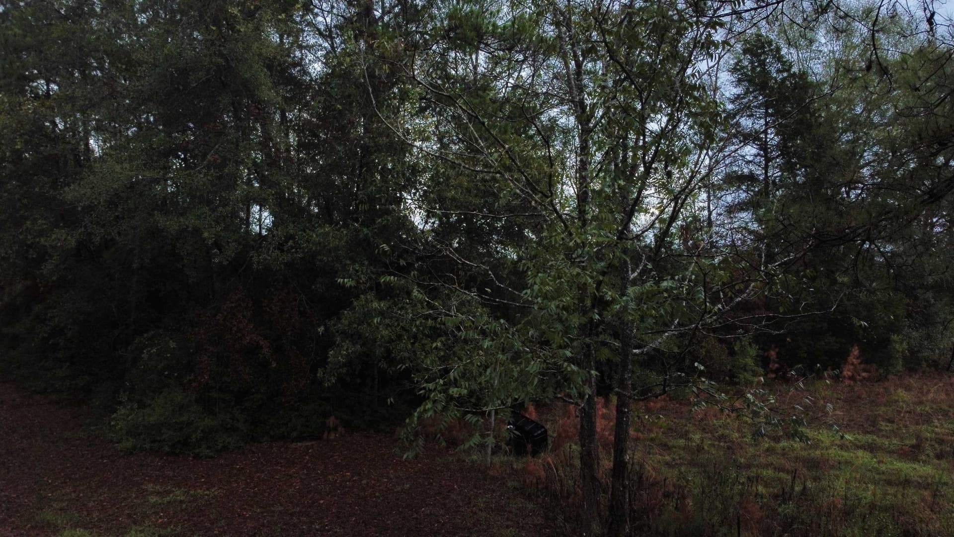 20 acres in Texas County - photo 11