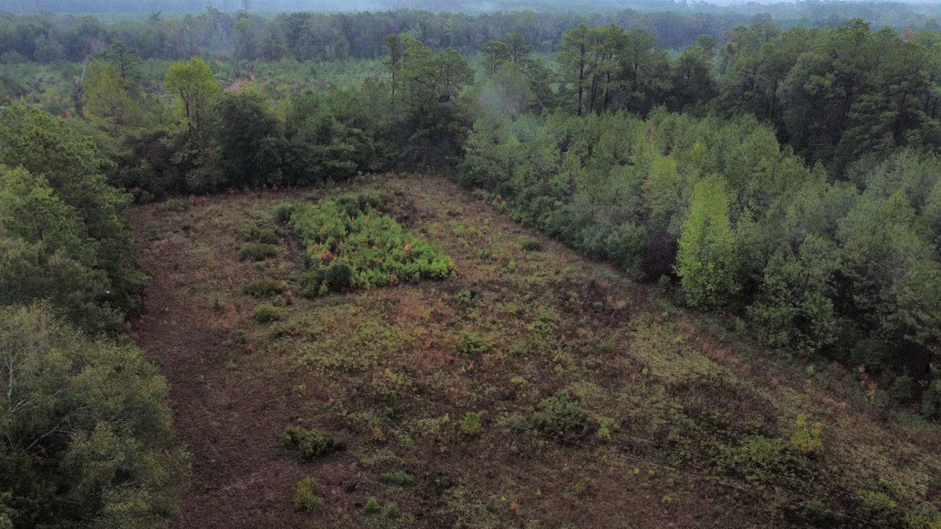 20 acres in Texas County - photo 16