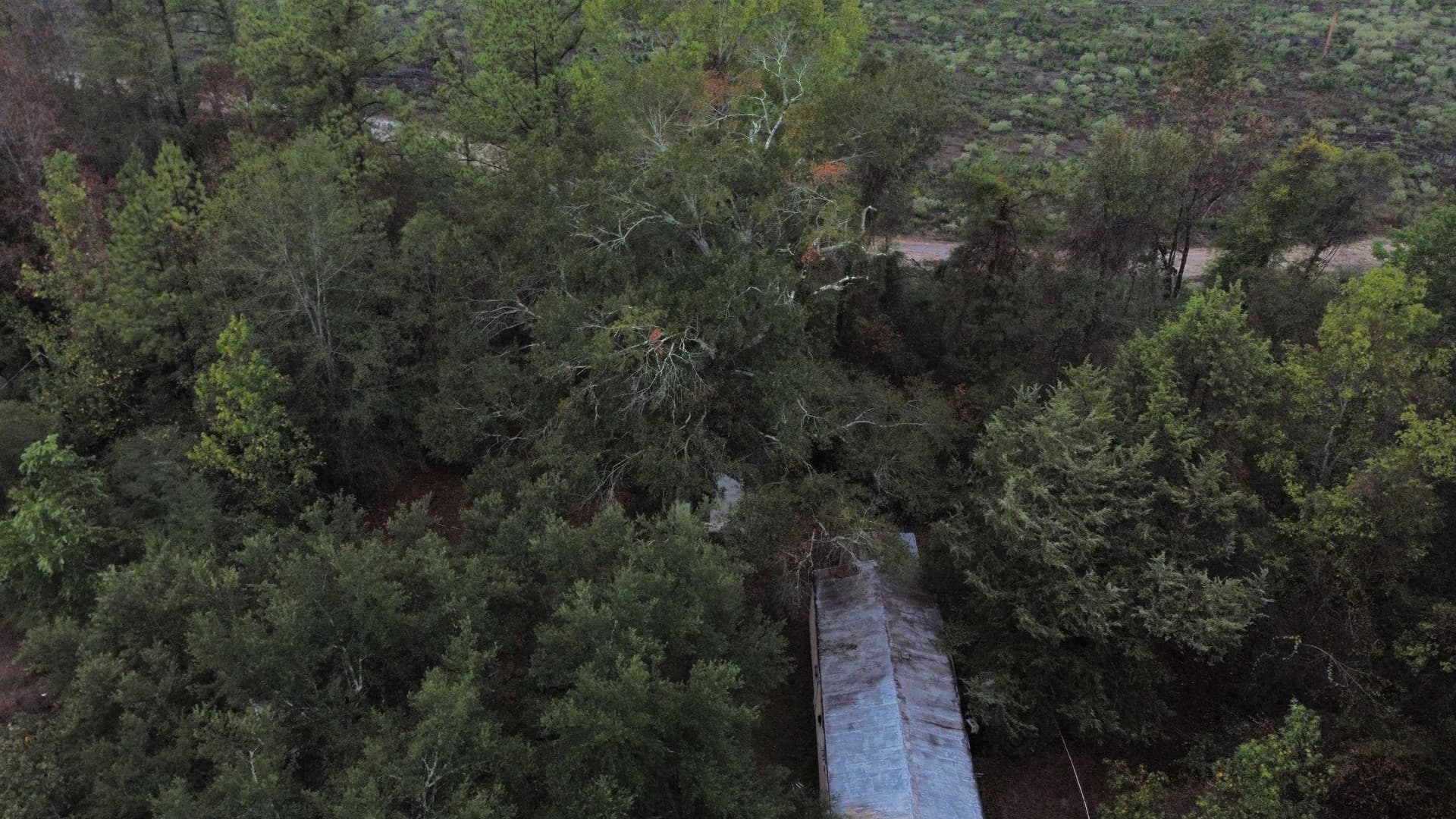 20 acres in Texas County - photo 15