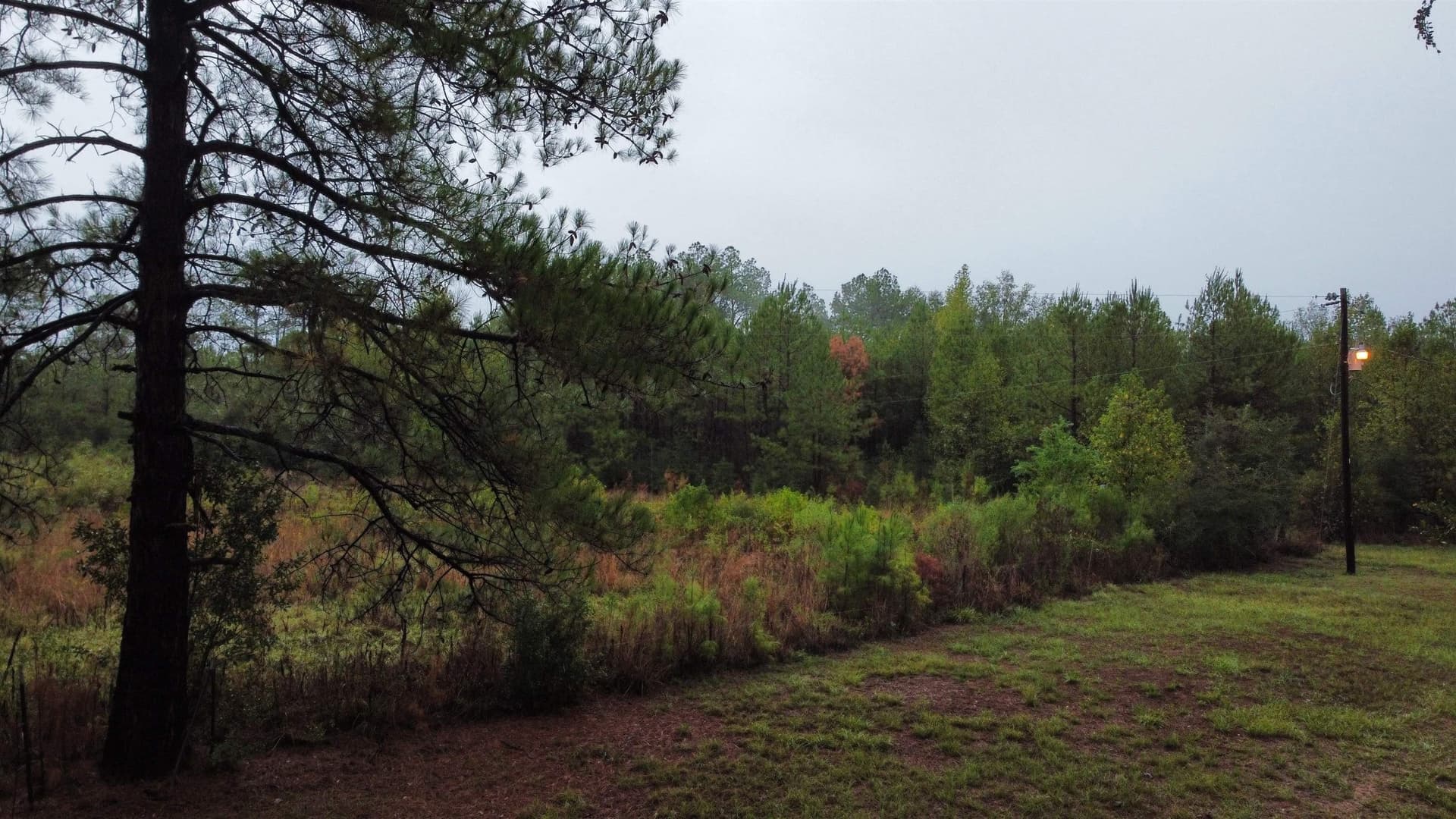 20 acres in Texas County - photo 9