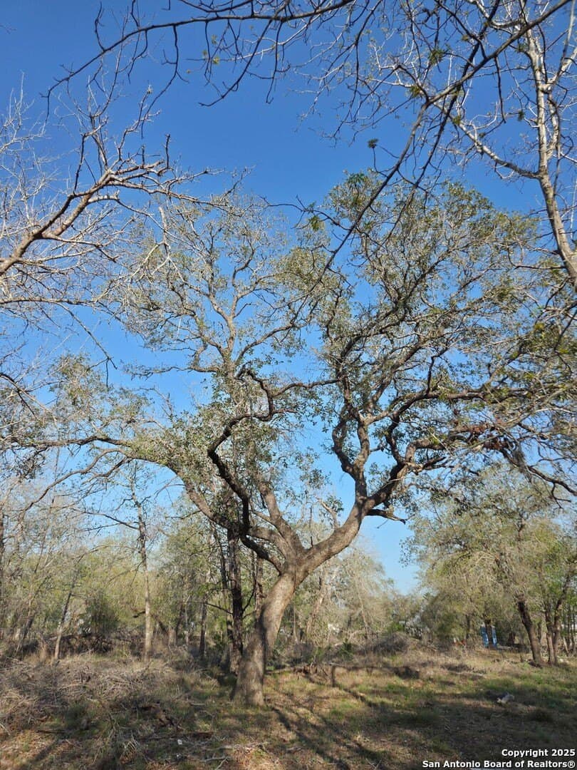 2.74 acres in Medina County - photo 8