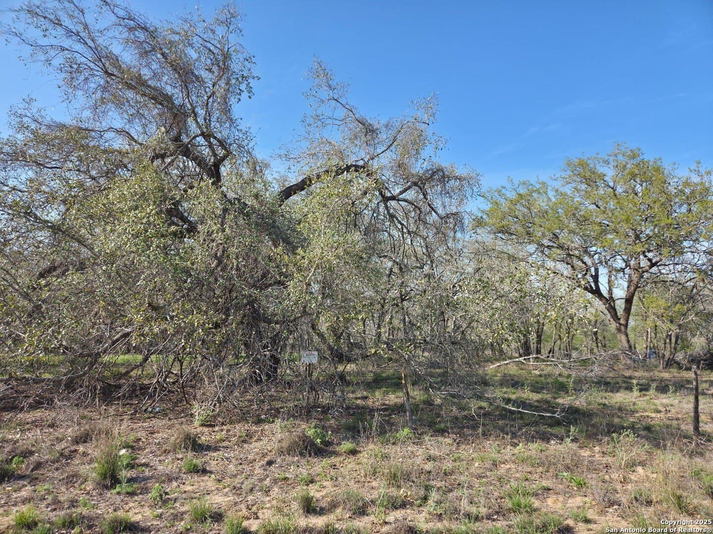 2.74 acres in Medina County - photo 4