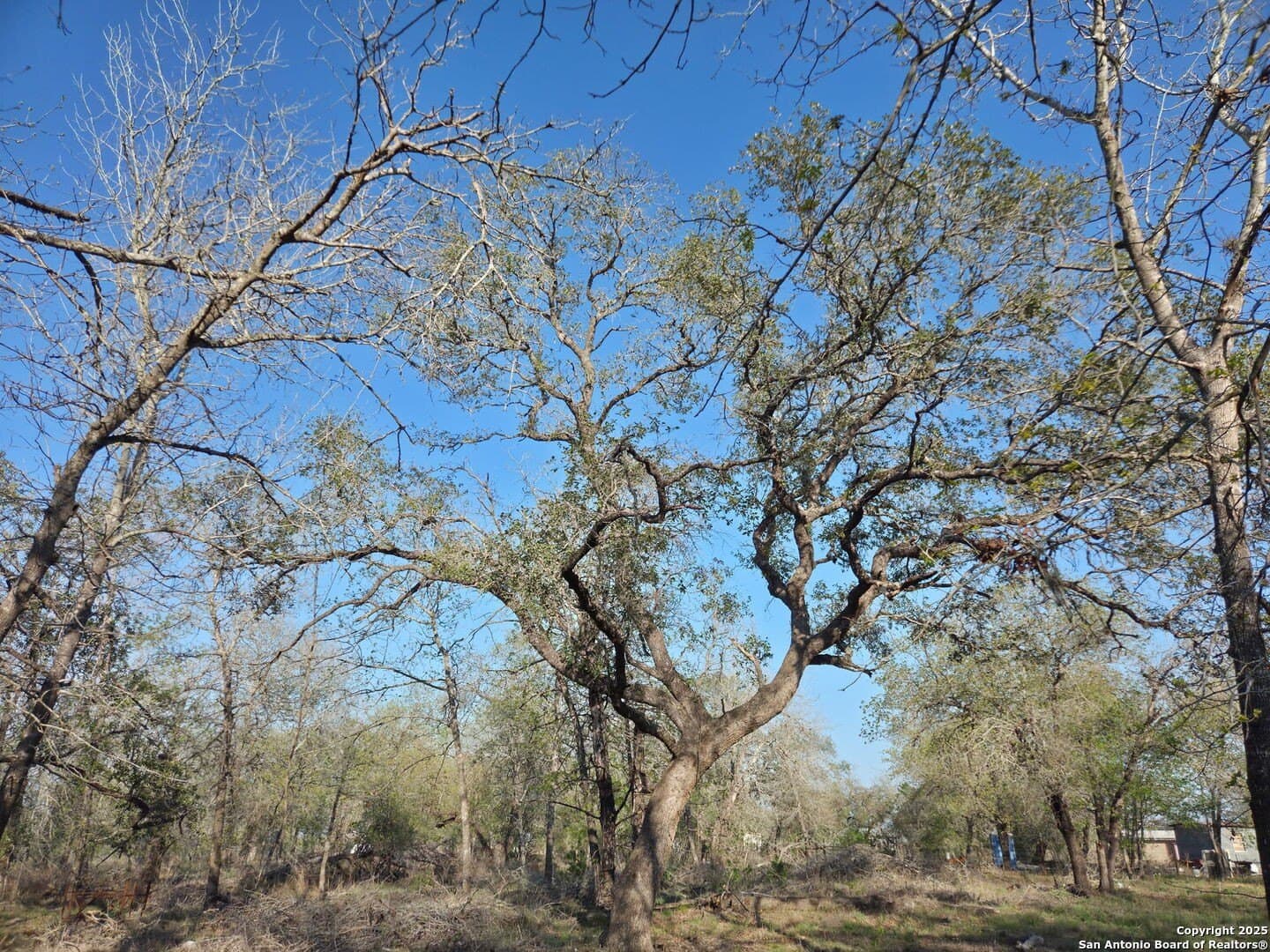 2.74 acres in Medina County - photo 7