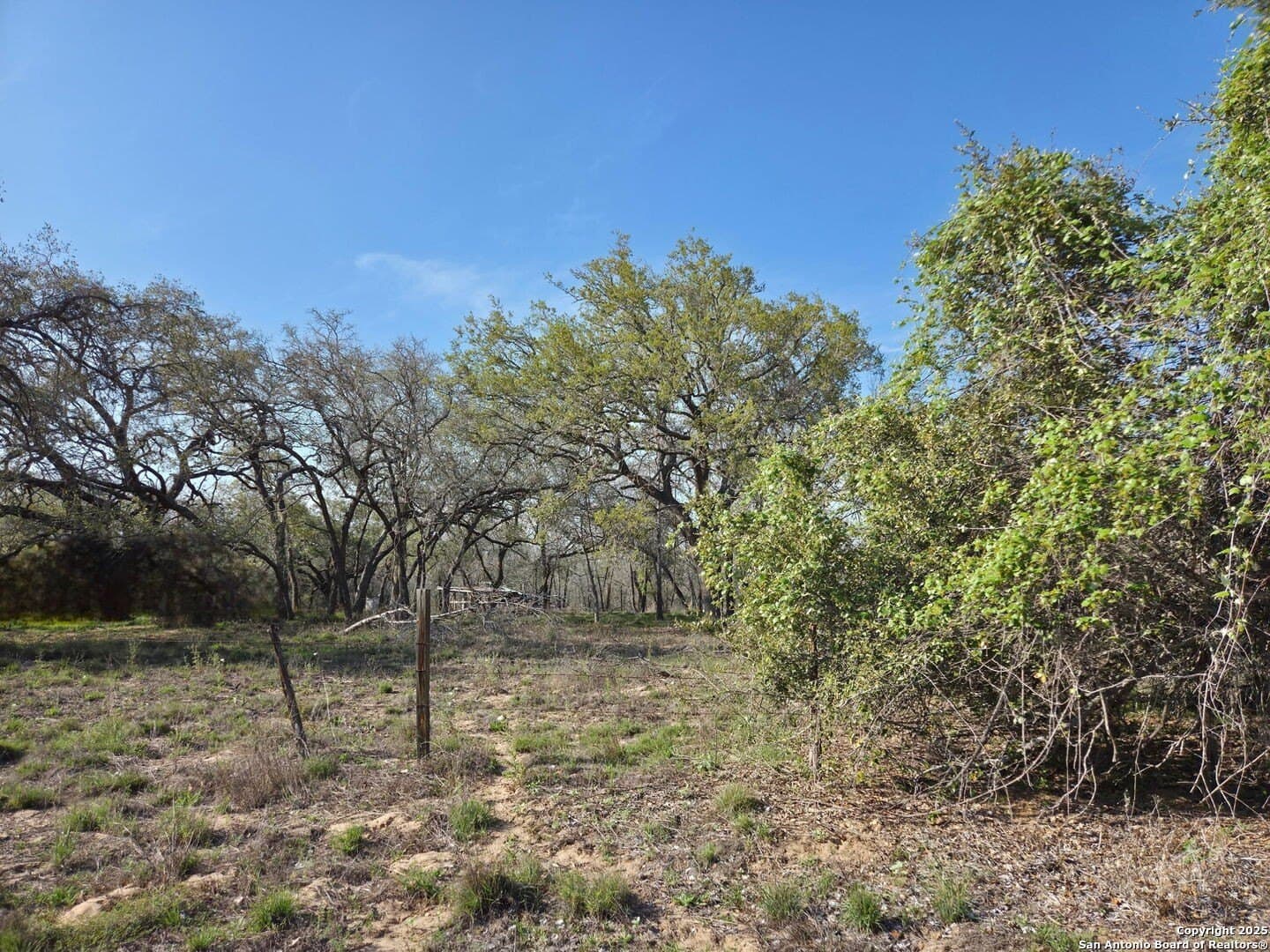 2.74 acres in Medina County - photo 19