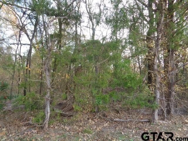 6.77 acres in Wood County - photo 7