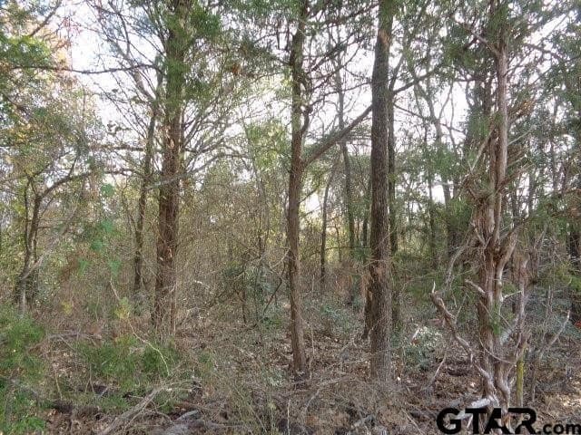 6.77 acres in Wood County - photo 6