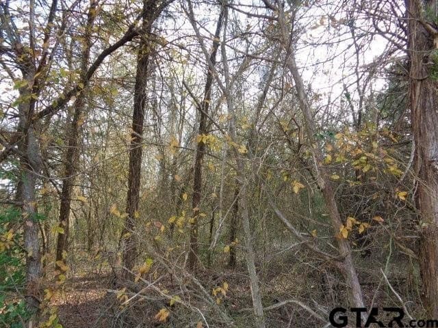 6.77 acres in Wood County - photo 4