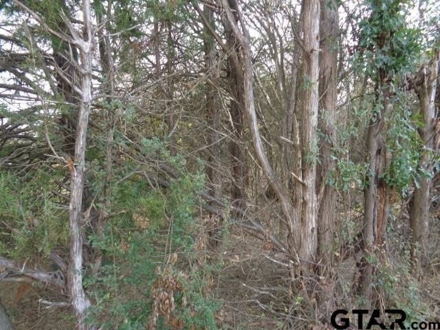 6.77 acres in Wood County - photo 2