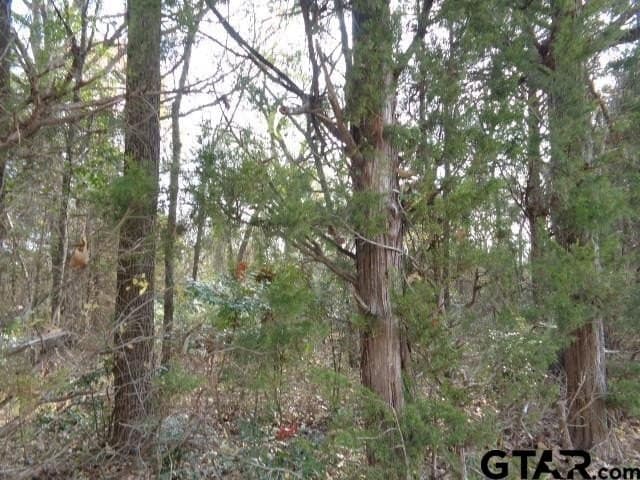 6.77 acres in Wood County - photo 5
