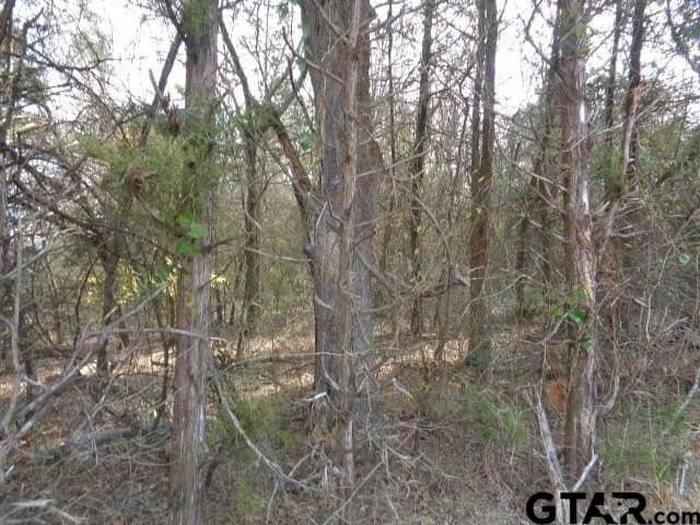 6.77 acres in Wood County - photo 3