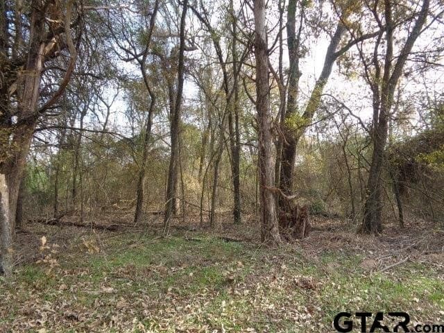 6.77 acres in Wood County - photo 9