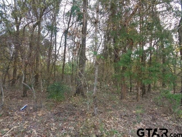 6.77 acres in Wood County - photo 8