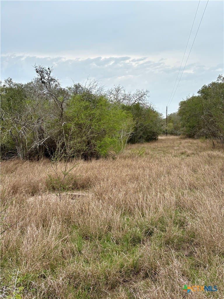 25.17 acres in Goliad County - photo 3