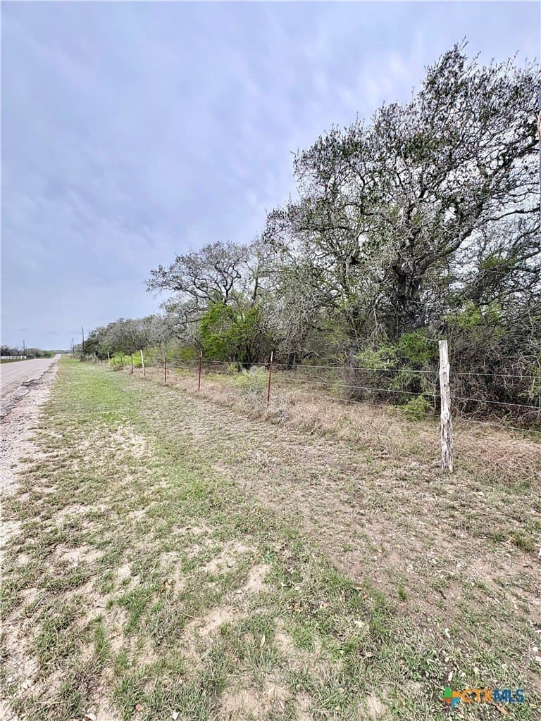 25.17 acres in Goliad County - photo 5