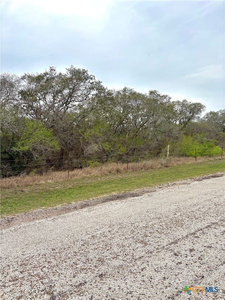 25.17 acres in Goliad County - photo 2