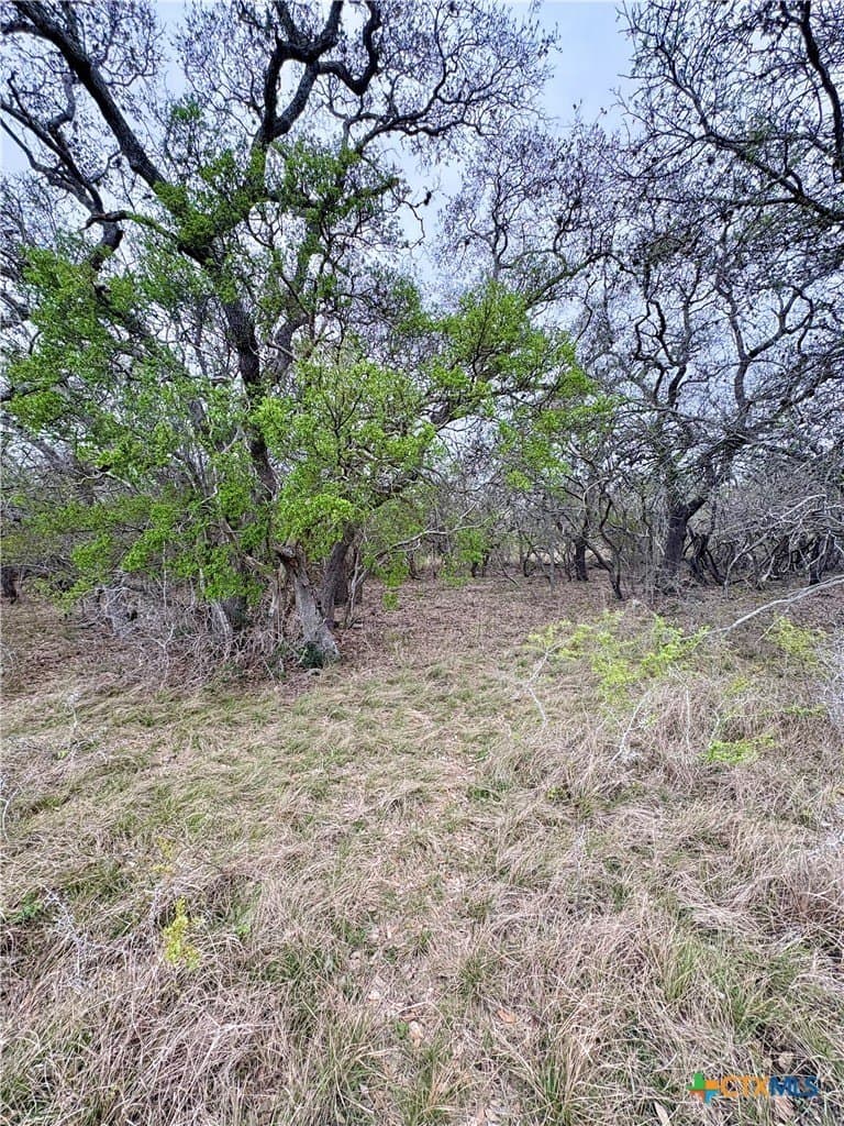 25.17 acres in Goliad County - photo 4