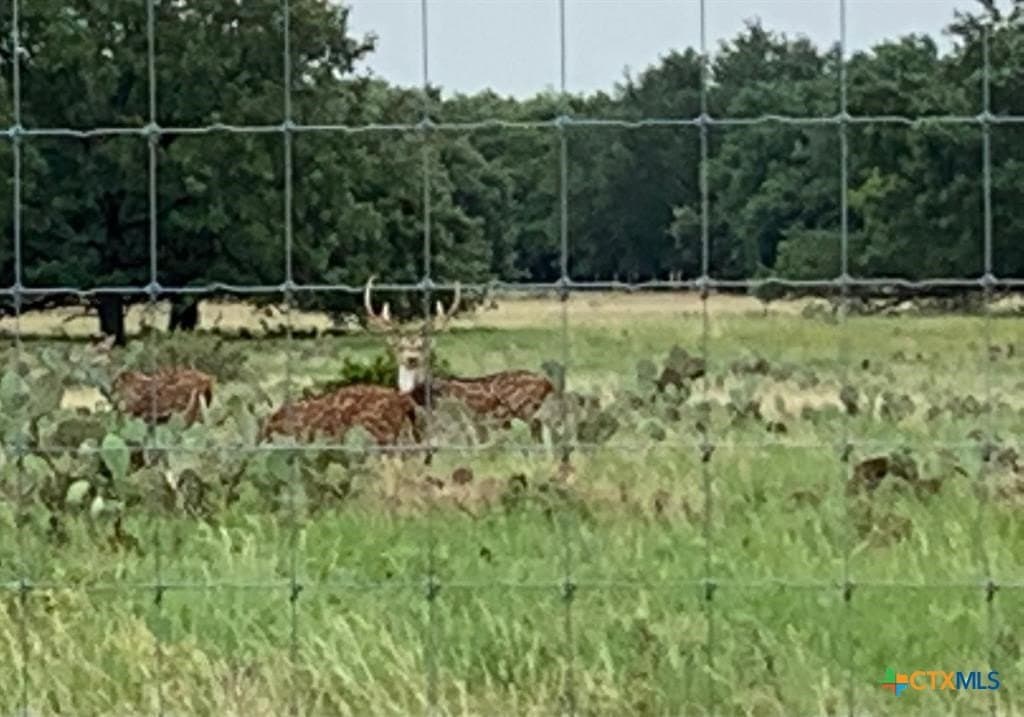 5 acres in Burnet County - photo 11