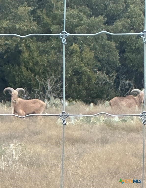 5 acres in Burnet County - photo 10