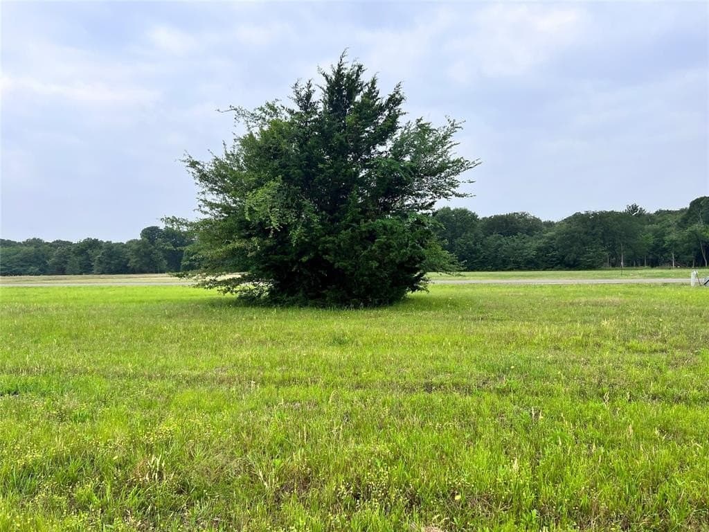 1.18 acres in Navarro County - photo 7