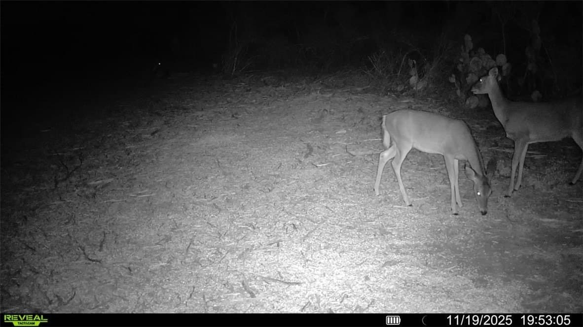 39.94 acres in La Salle County - photo 17