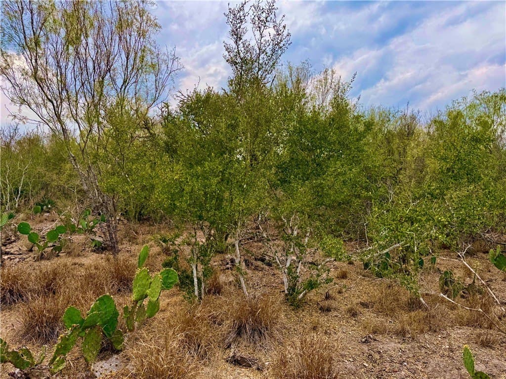 39.94 acres in La Salle County - photo 28
