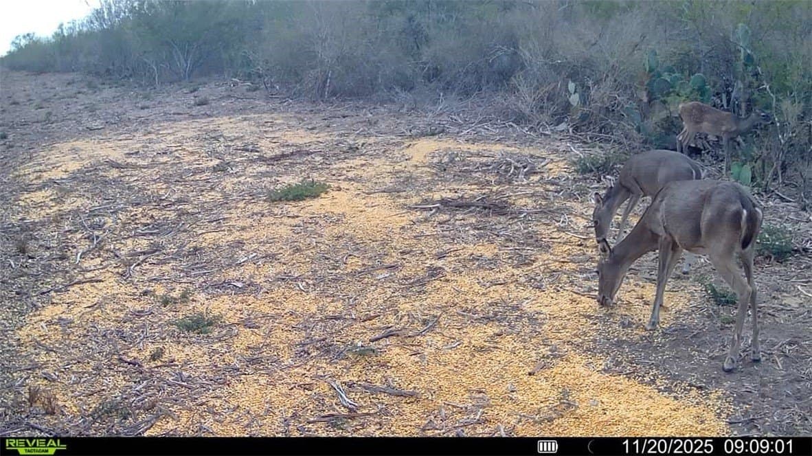 39.94 acres in La Salle County - photo 21
