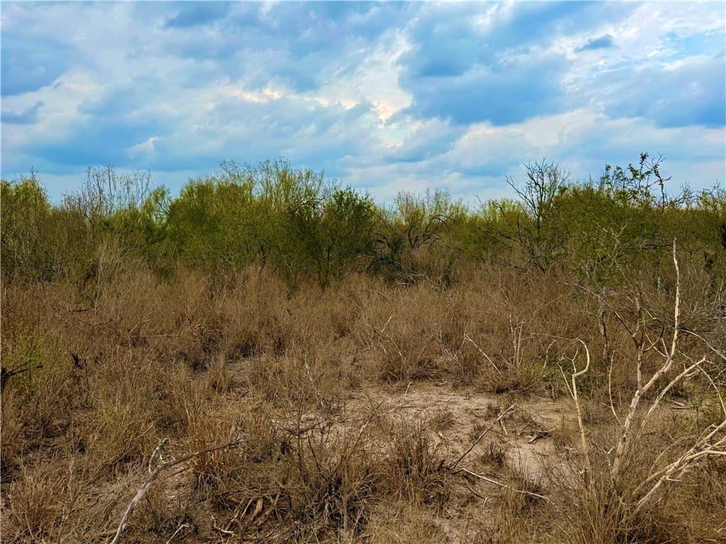 39.94 acres in La Salle County - photo 38