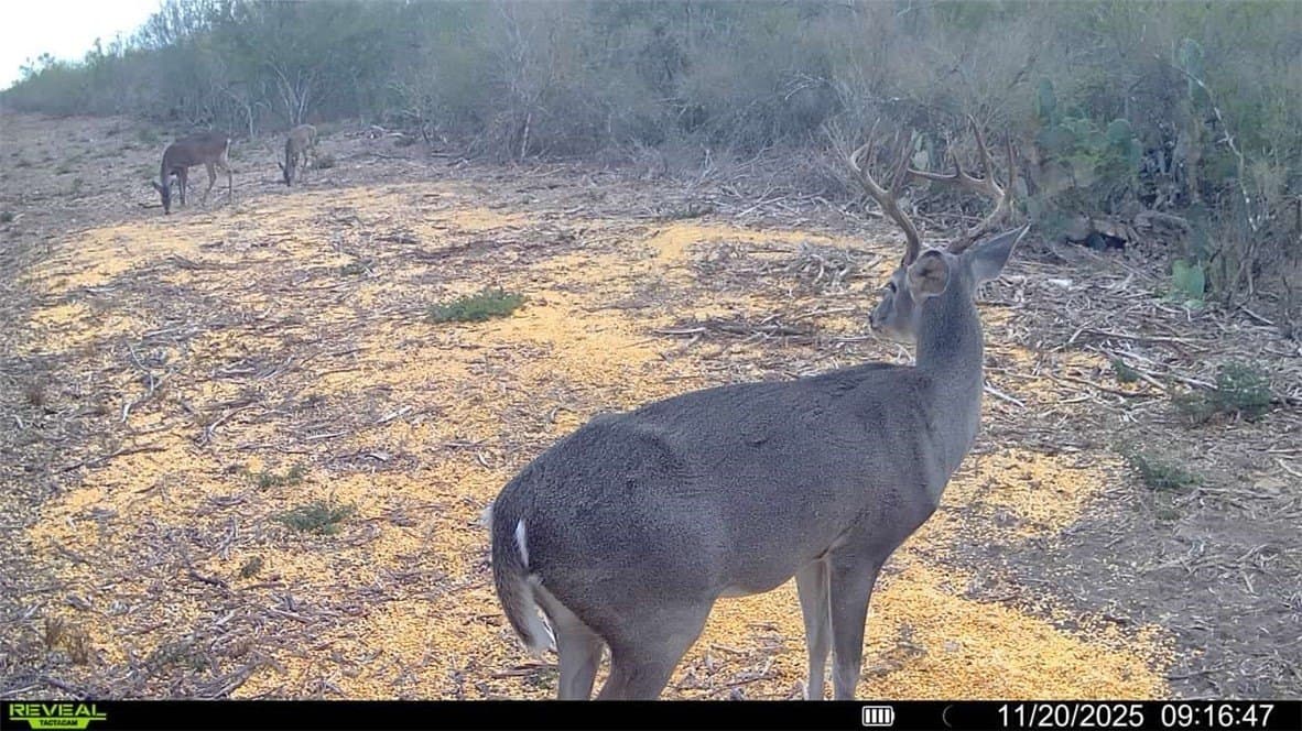 39.94 acres in La Salle County - photo 27