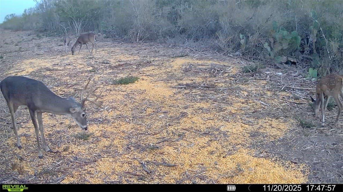 39.94 acres in La Salle County - photo 3