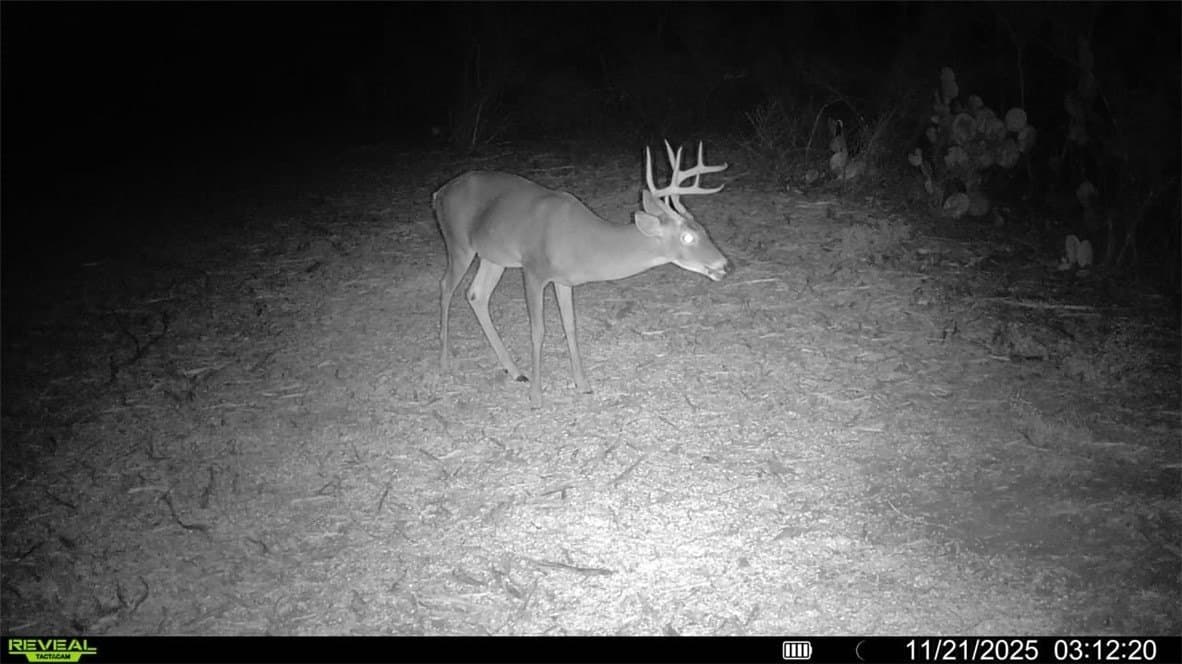 39.94 acres in La Salle County - photo 9