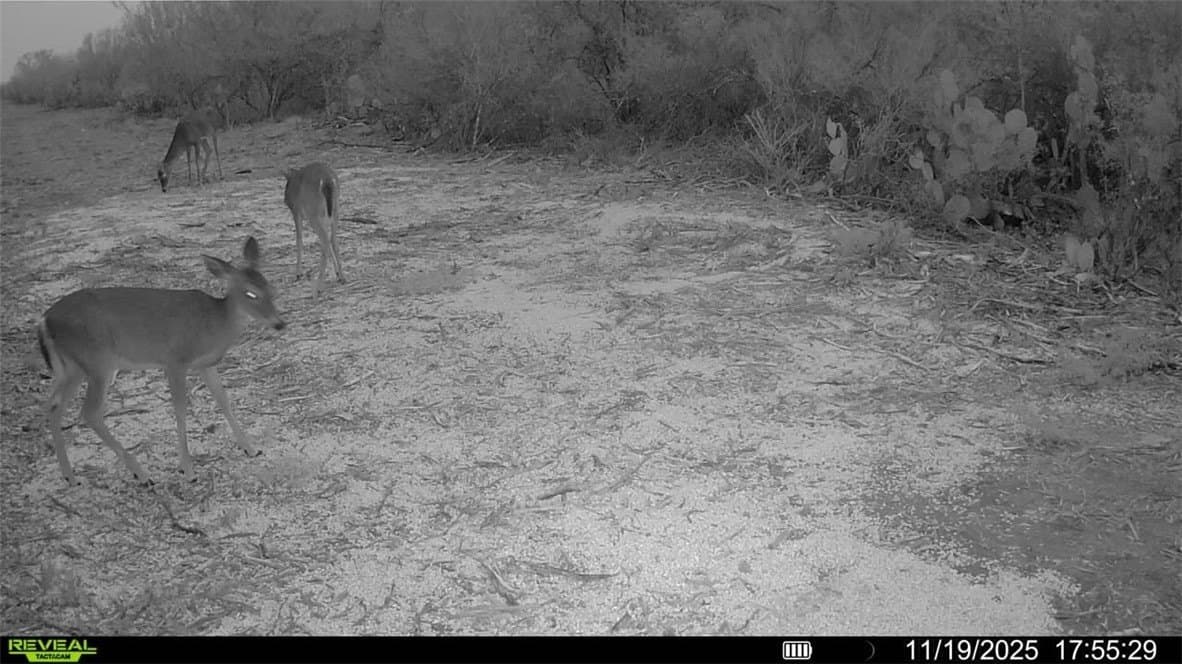 39.94 acres in La Salle County - photo 13