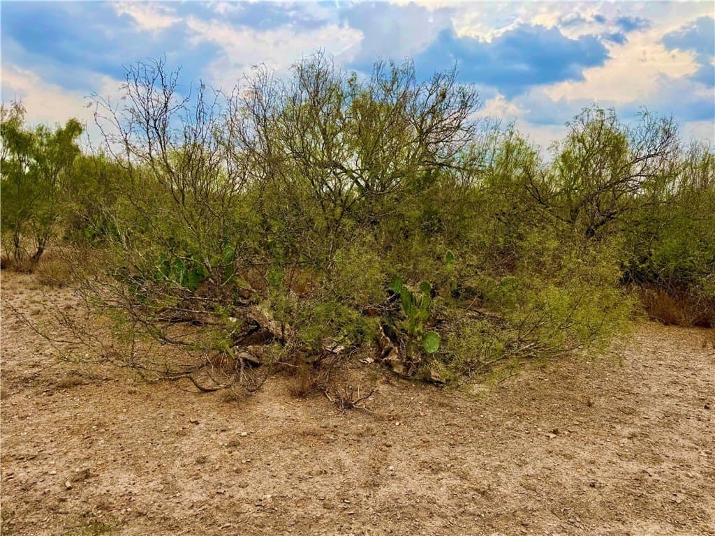 39.94 acres in La Salle County - photo 22