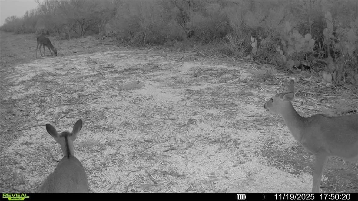39.94 acres in La Salle County - photo 37