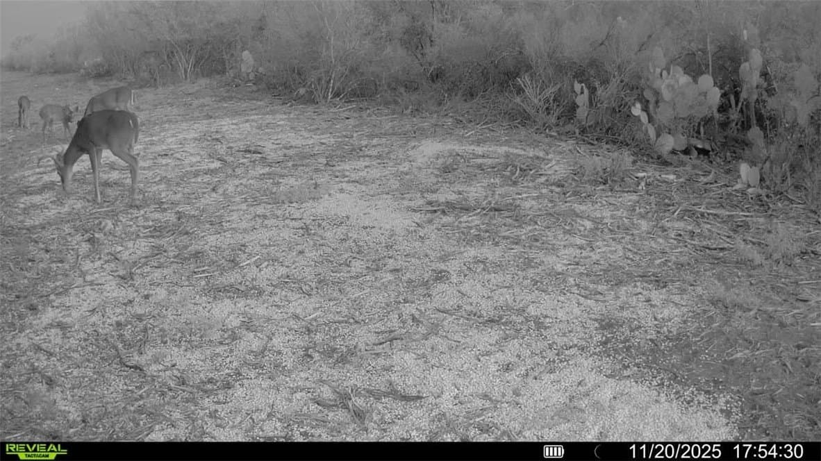 39.94 acres in La Salle County - photo 29