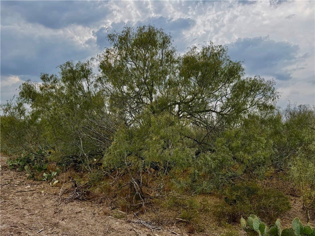 39.94 acres in La Salle County - photo 24