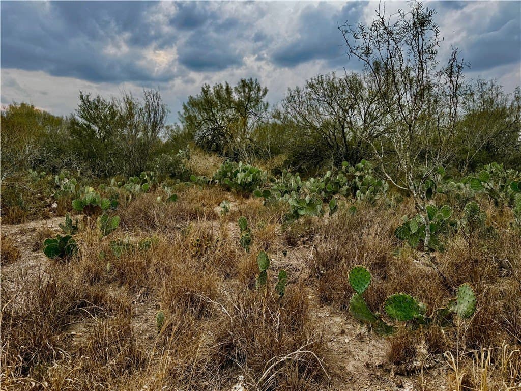 39.94 acres in La Salle County - photo 4