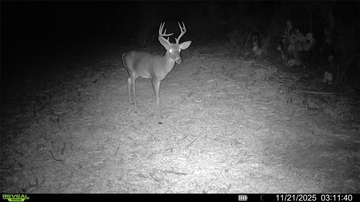 39.94 acres in La Salle County - photo 7