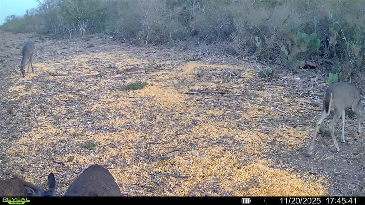39.94 acres in La Salle County - photo 11