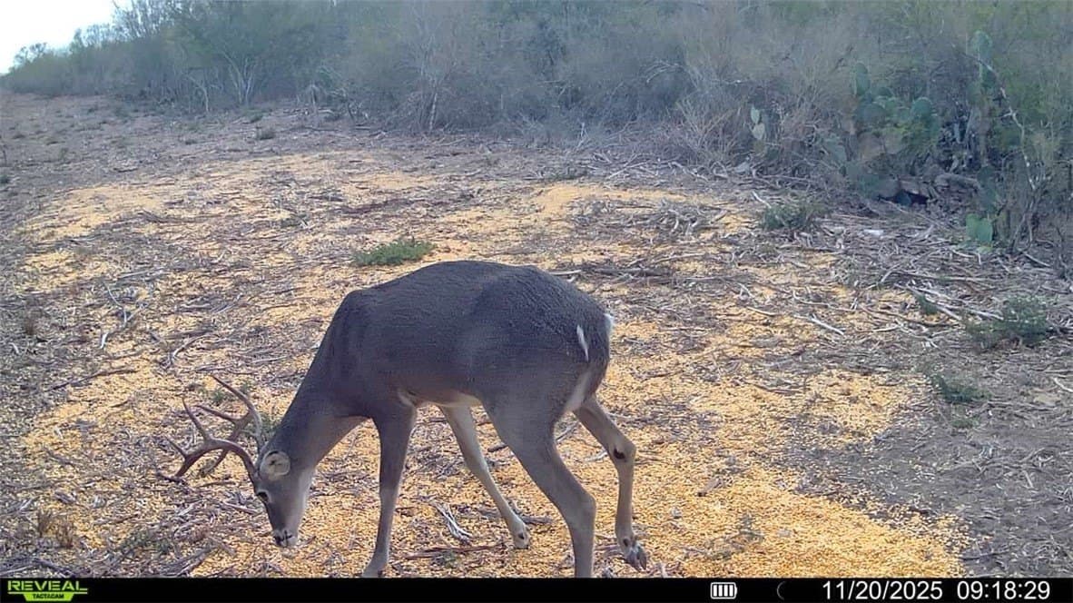 39.94 acres in La Salle County - photo 30