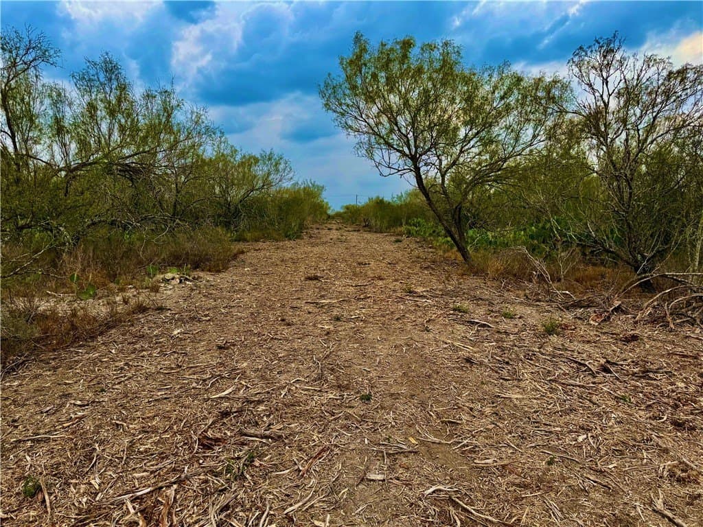 39.94 acres in La Salle County - photo 2