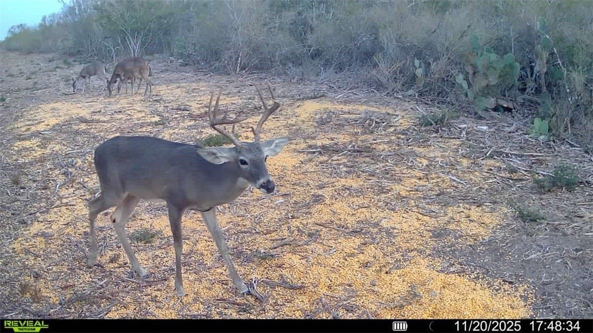 39.94 acres in La Salle County - photo 5