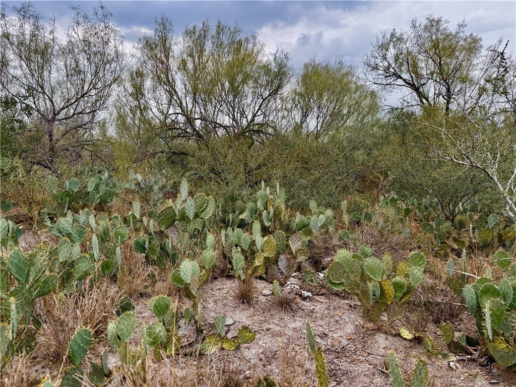 39.94 acres in La Salle County - photo 8