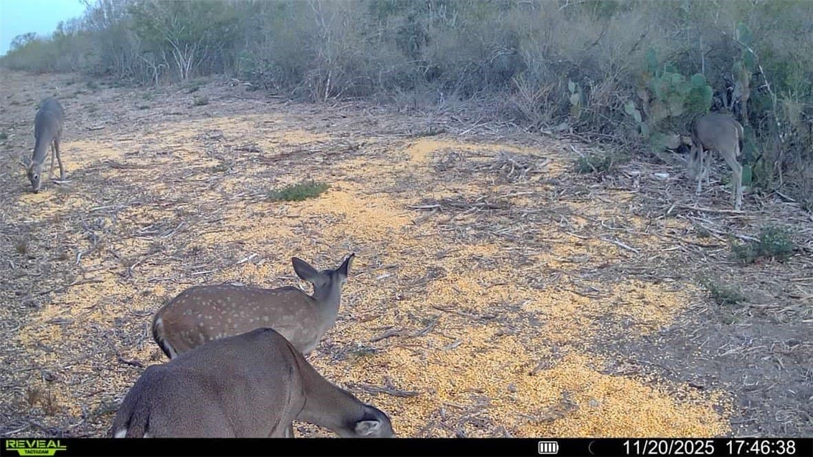 39.94 acres in La Salle County - photo 32