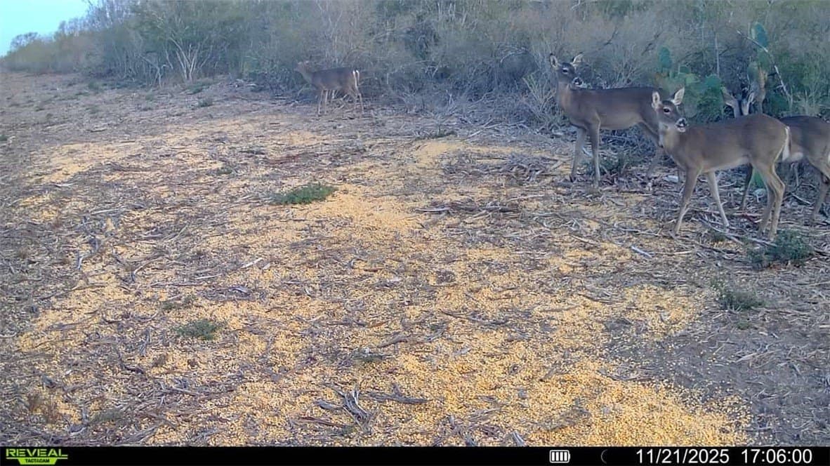 39.94 acres in La Salle County - photo 39