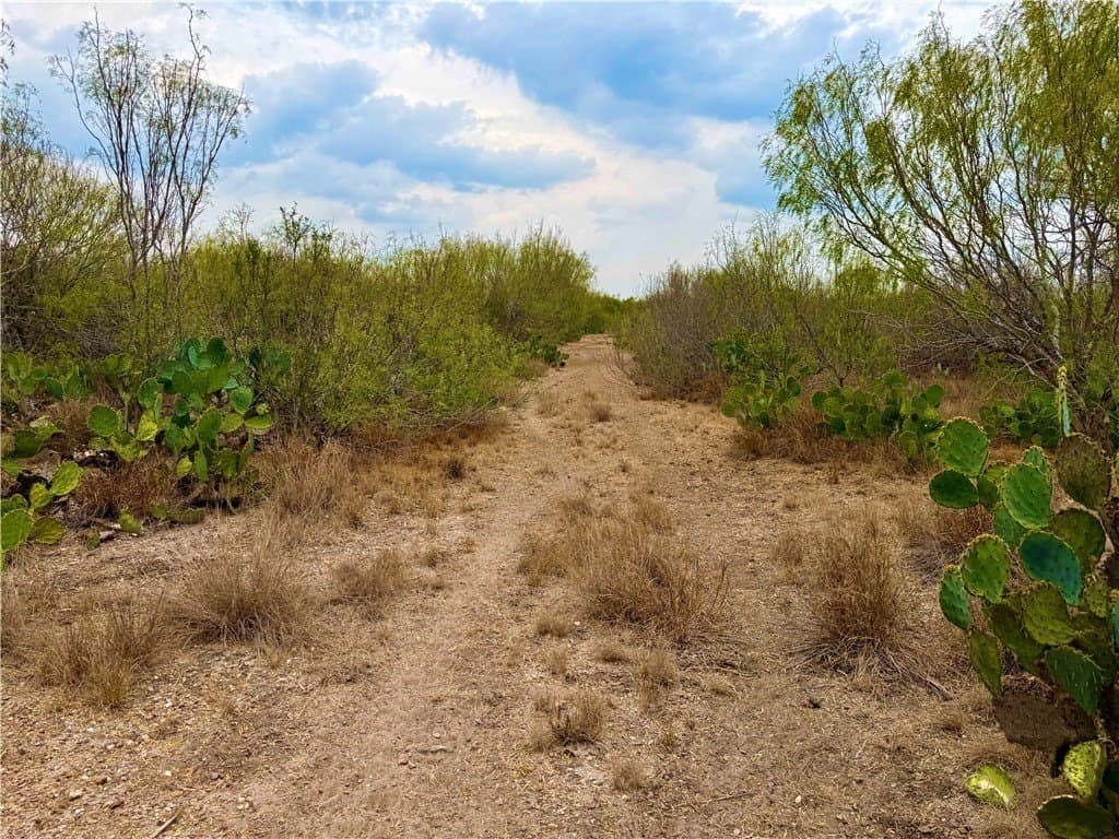 39.94 acres in La Salle County - photo 26