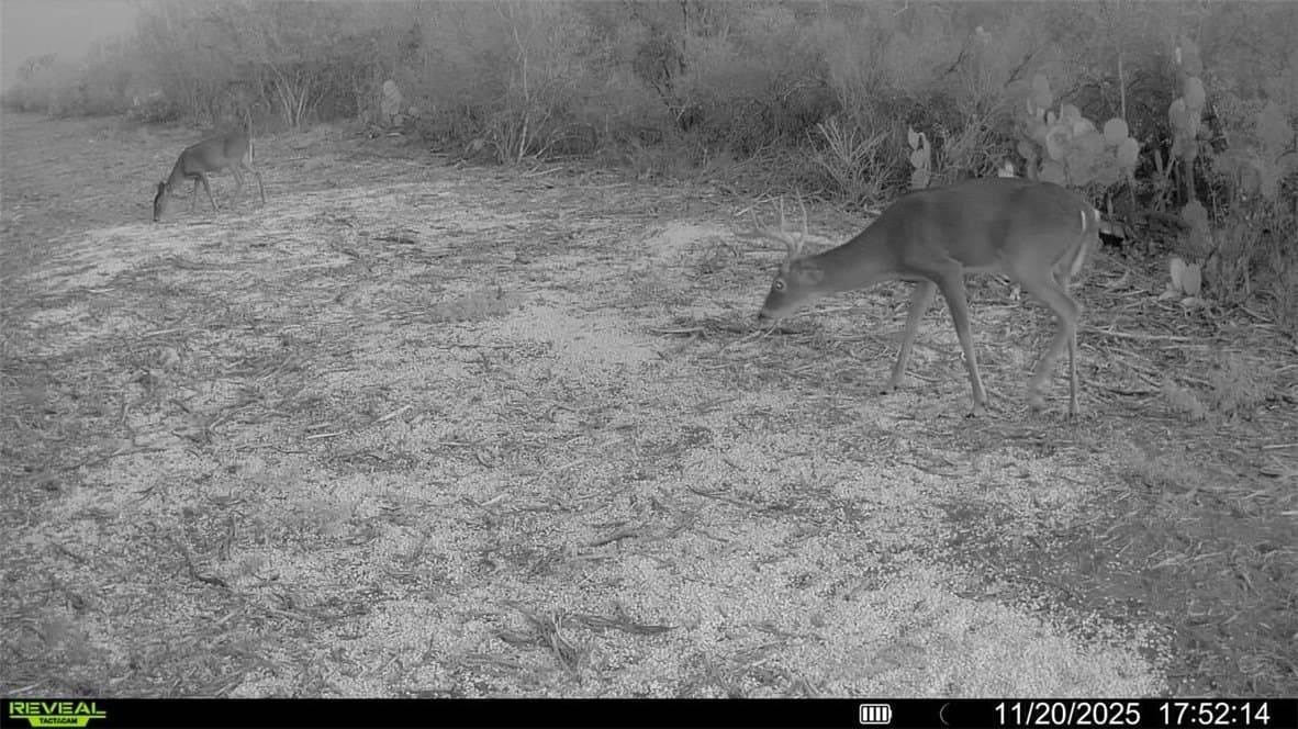 39.94 acres in La Salle County - photo 34
