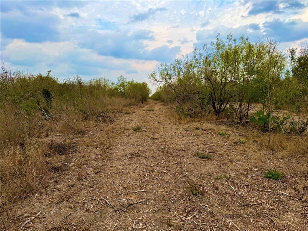 39.94 acres in La Salle County - photo 35